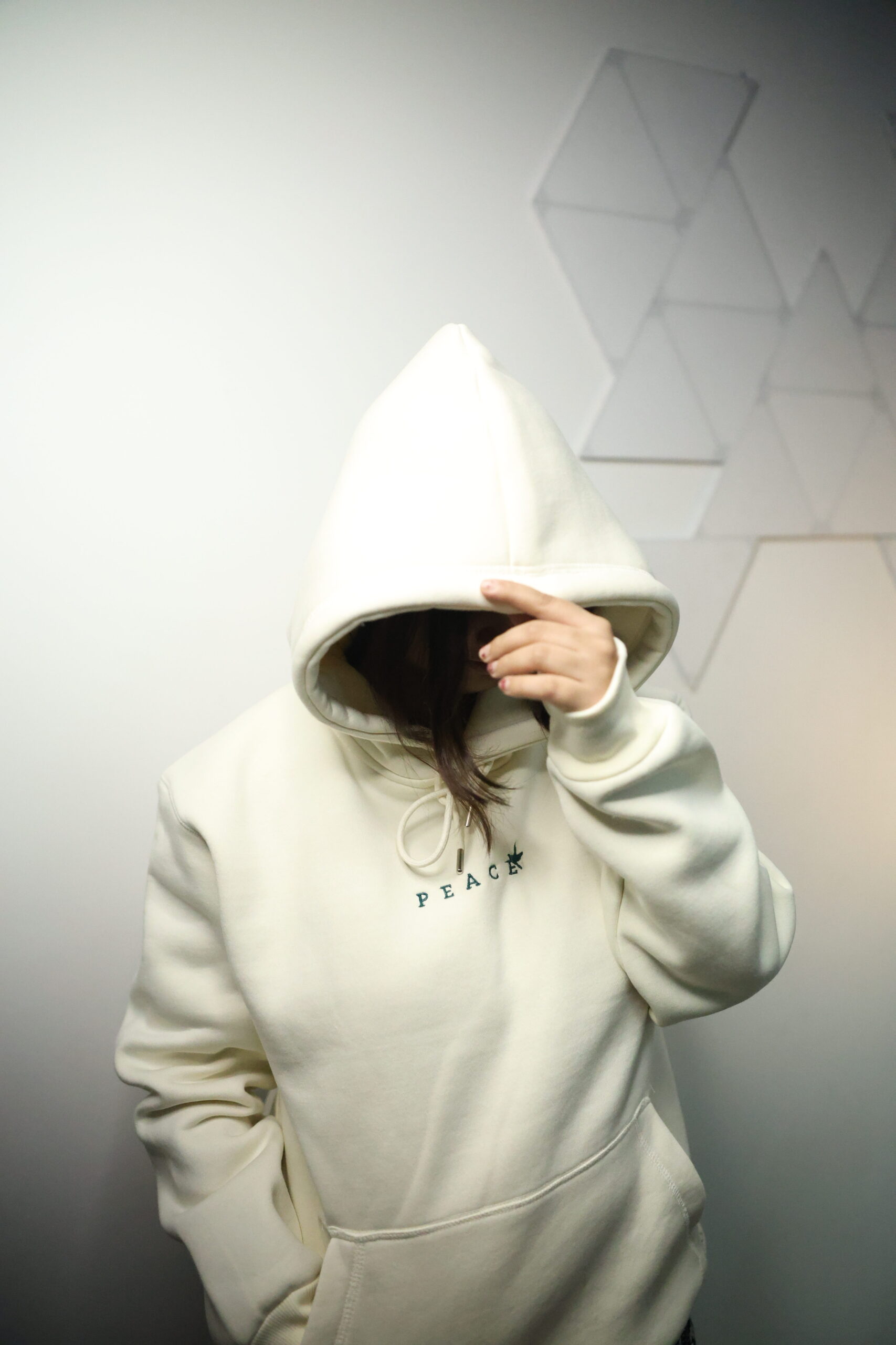 Off-White Heavyweight Hoodie – Mind Art Edition