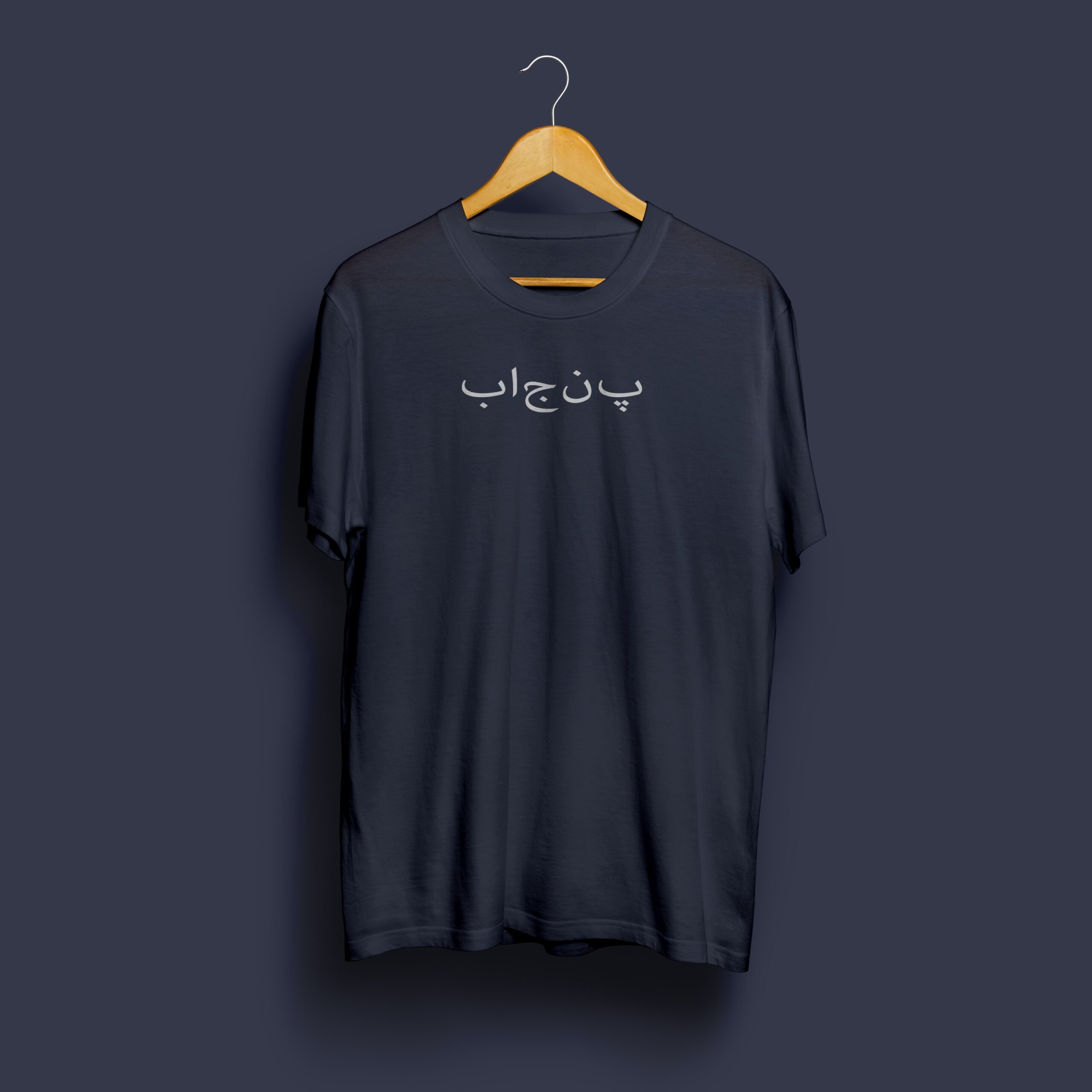 PUNJAB PRIDE TSHIRT – Eagle, Farms & Sikh - Image 2